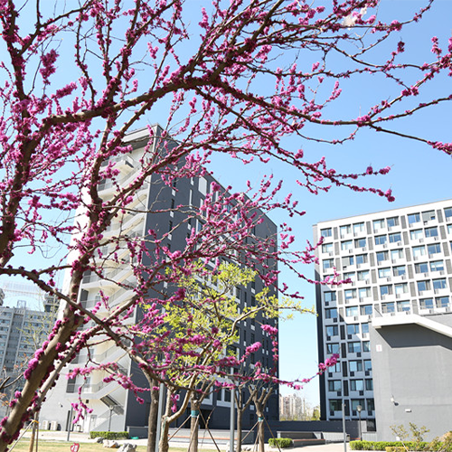 我的大學