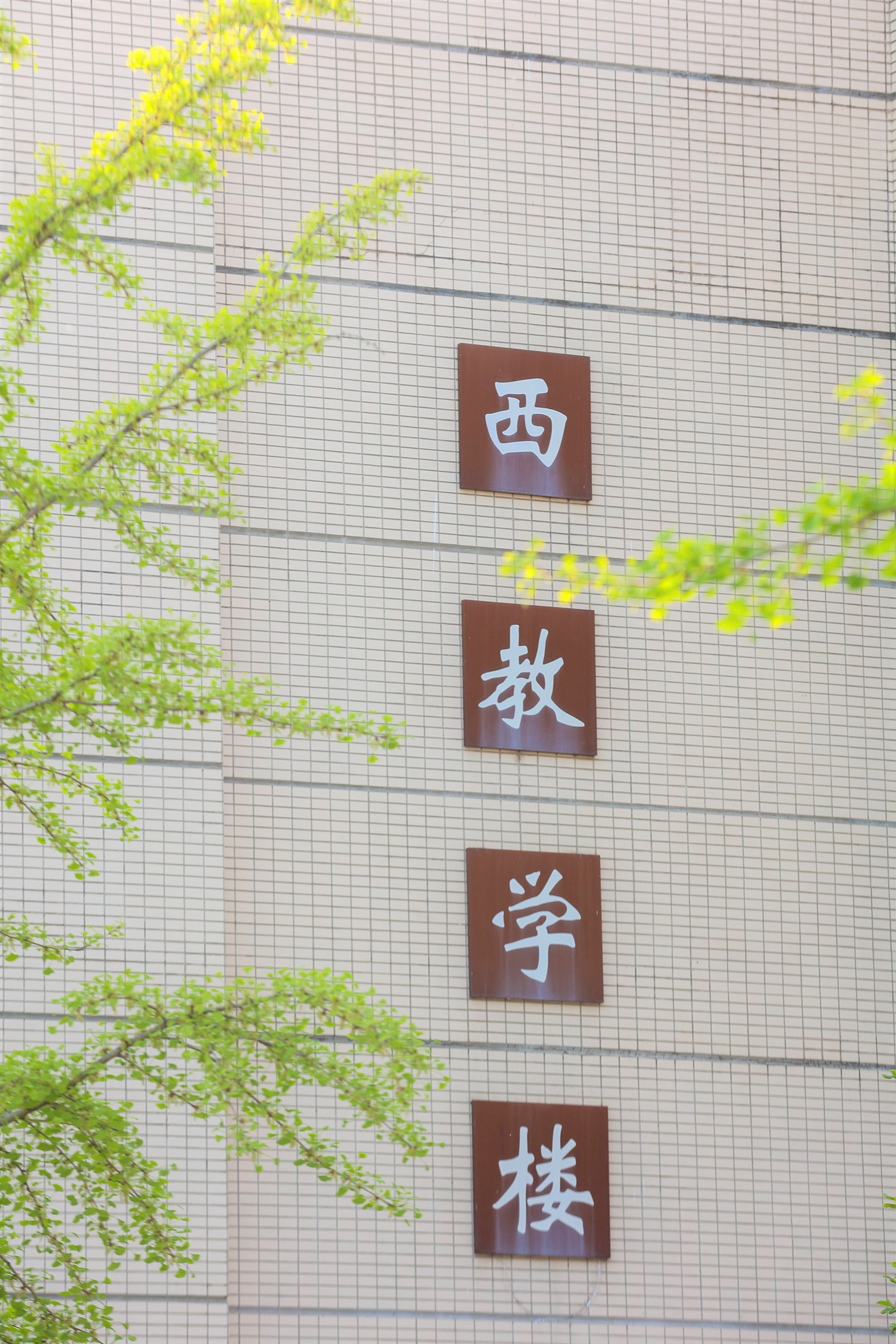 北京劳动保障职业学院-校园风景