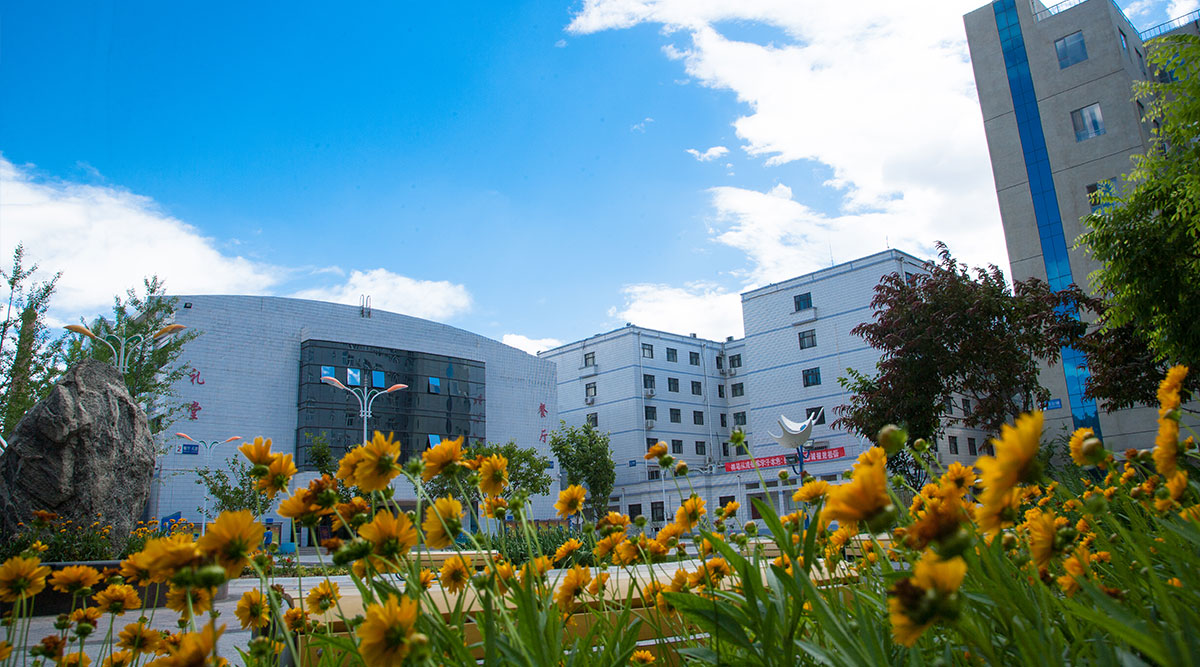 北京信息职业技术学院 我的大學