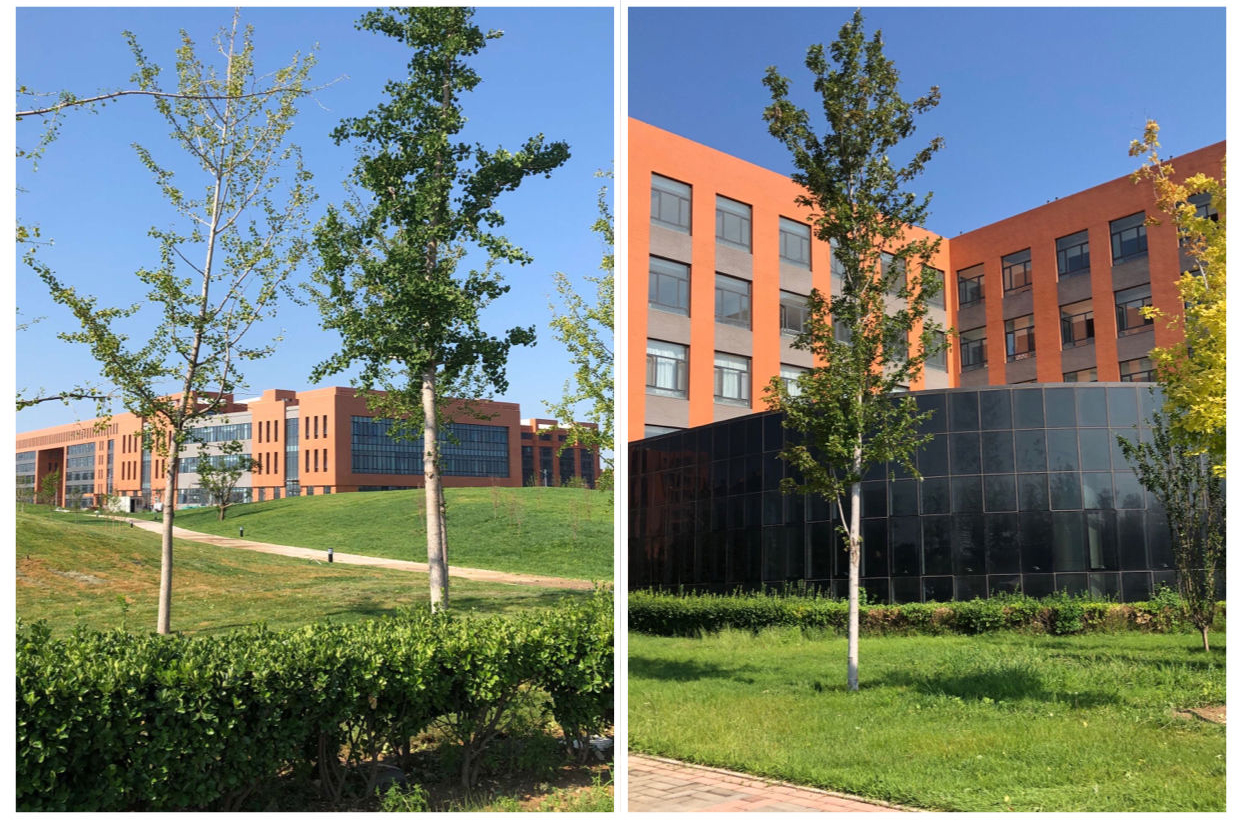北京社会管理职业学院 我的大學