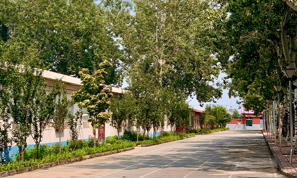 北京艺术传媒职业学院 风起四海 · 各自珍重