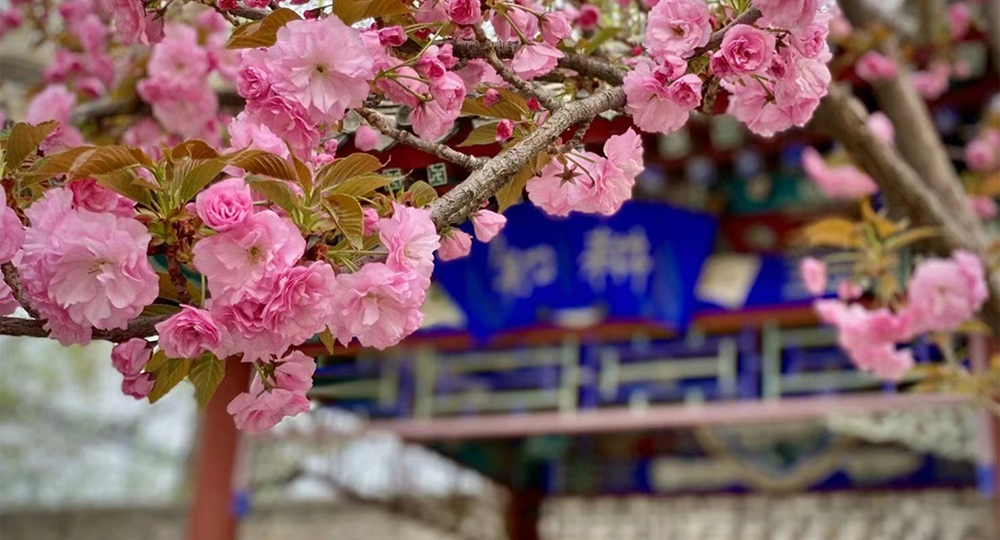 北京体育职业学院：校名题写 / 校徽设计