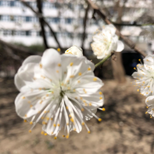 校园资讯