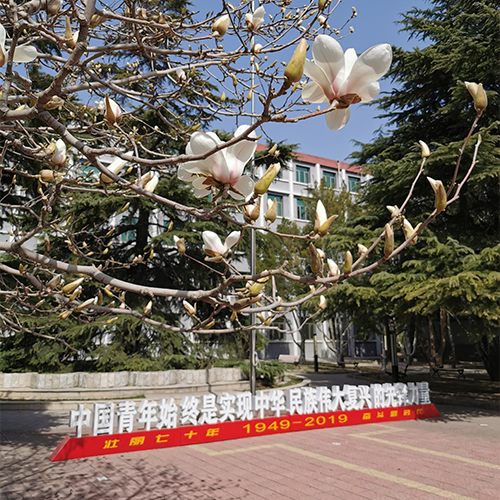 校园资讯