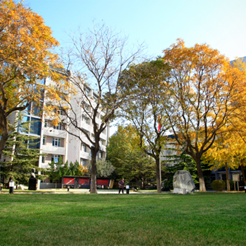 北京青年政治学院-大學文化