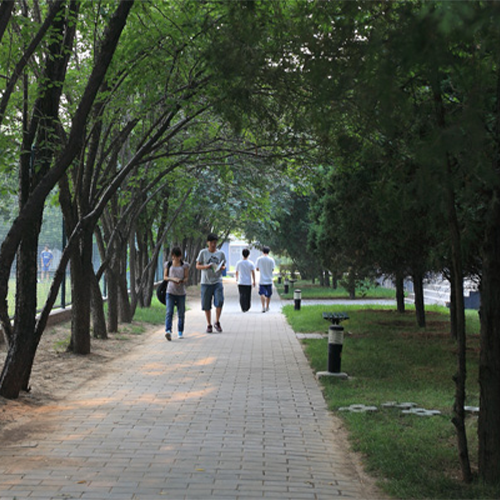 北京青年政治学院-最美校園