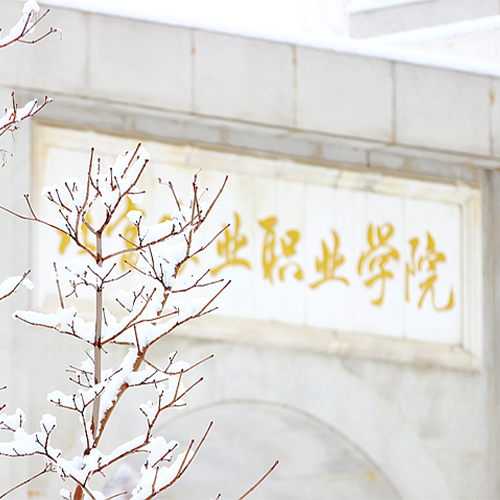大學简介