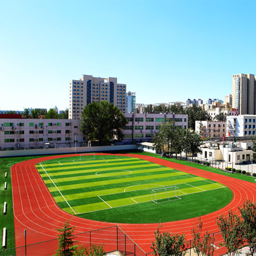 新生入学