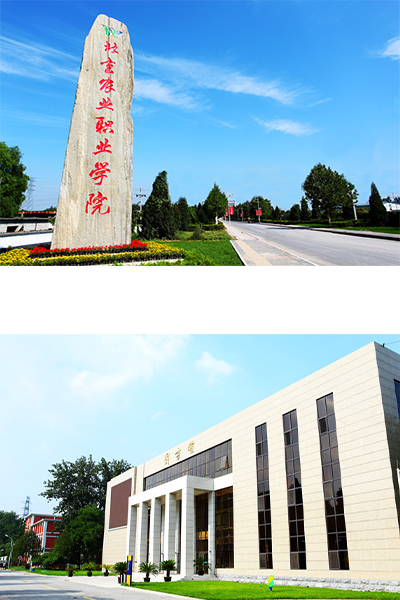 岁月流金 · 青春不散场