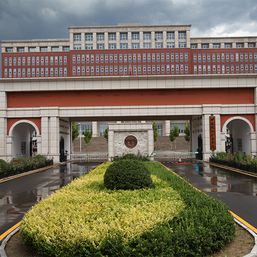 新生入学