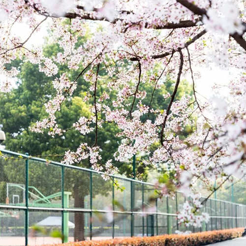 浙江大学-流金岁月