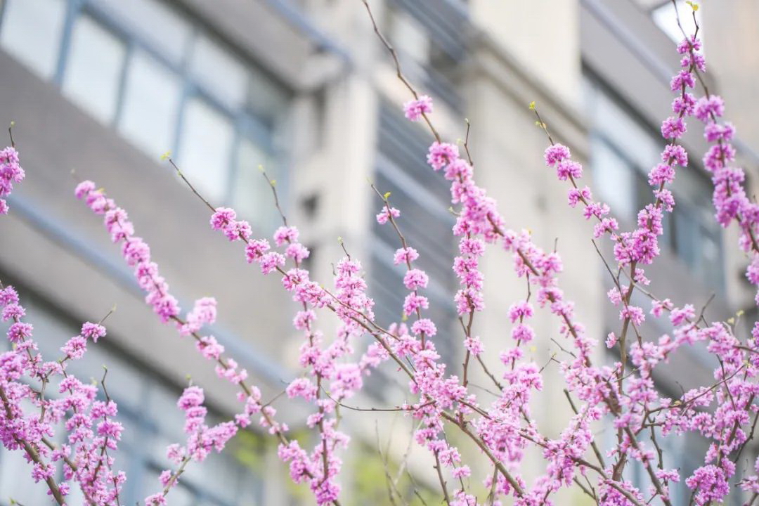 浙江大学 我的大學