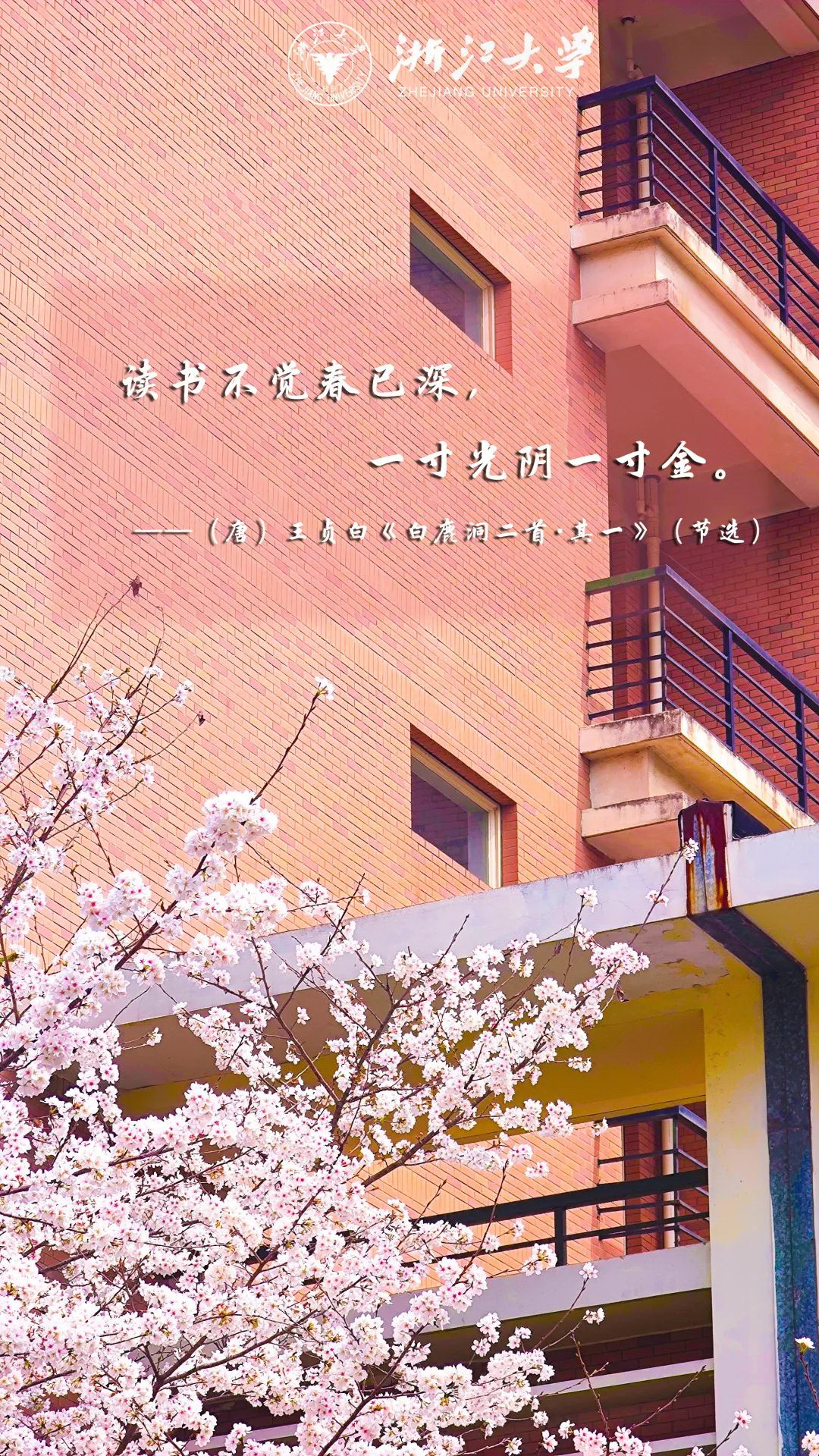 浙江大学 早安青春