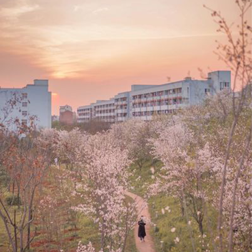杭州师范大学-大學文化