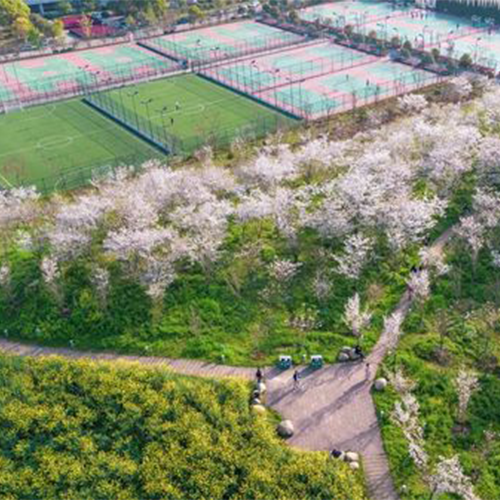 杭州师范大学-流金岁月