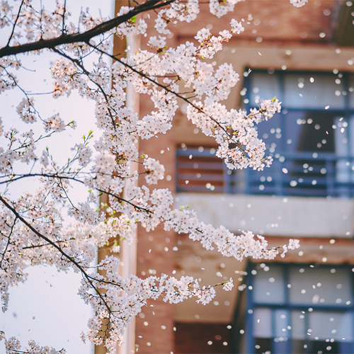 浙江工业大学-早安青春