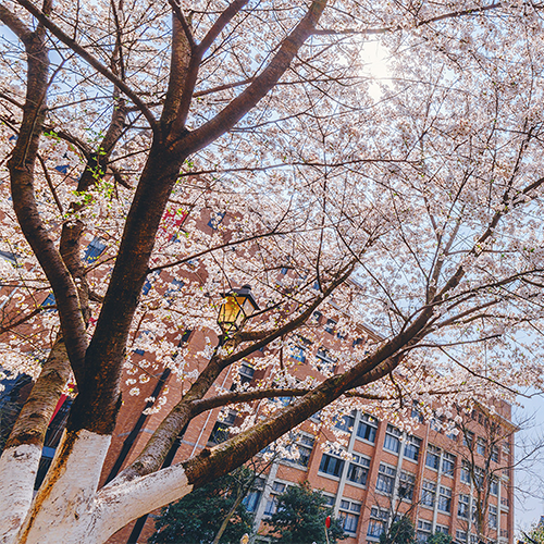 浙江工业大学-流金岁月