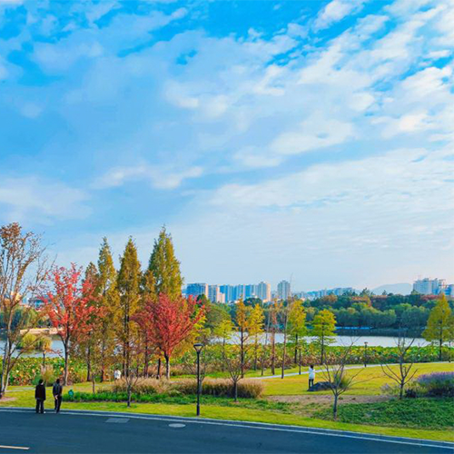 浙江农林大学-早安青春