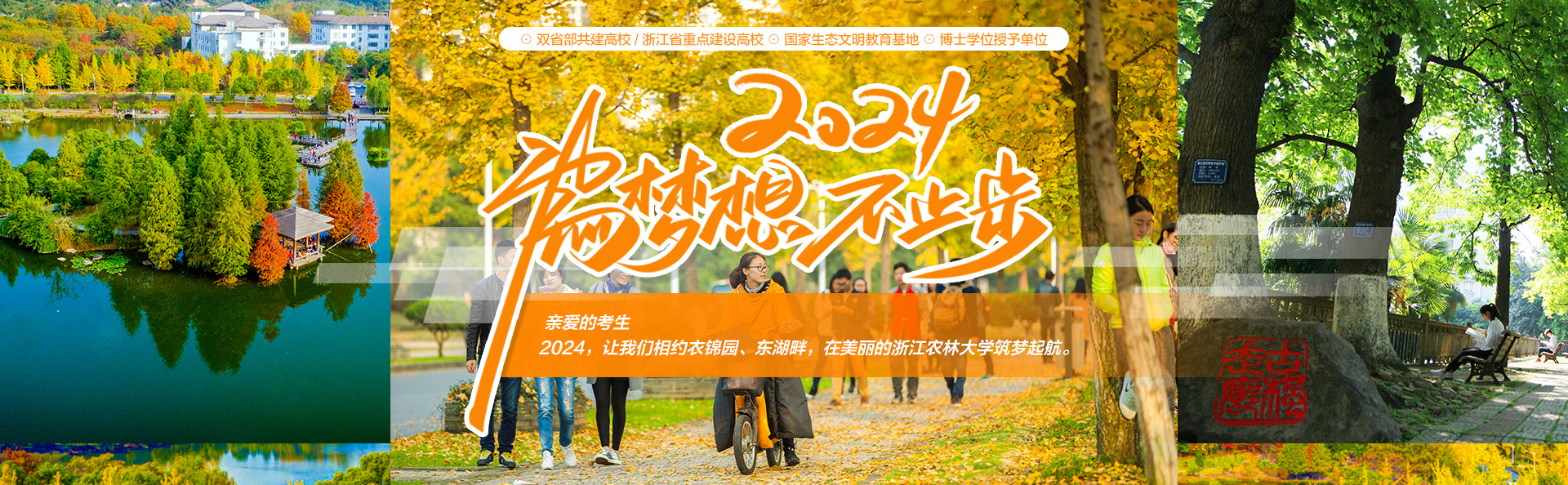浙江农林大学-校园风景