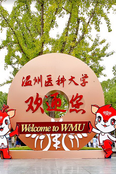 岁月流金 · 青春不散场