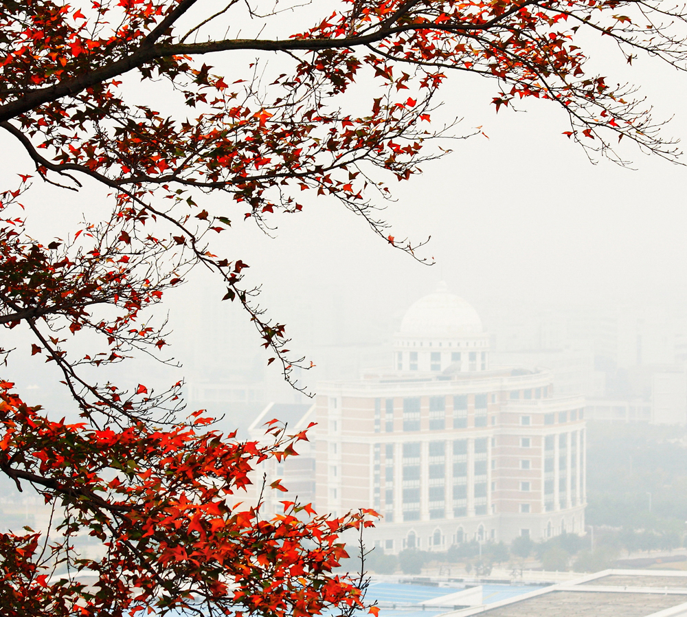 温州医科大学 我的大學