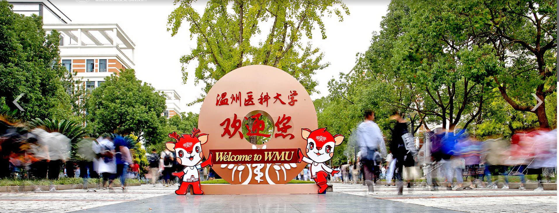 温州医科大学 - 院校概况
