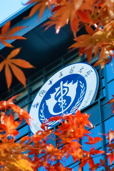 岁月流金 · 青春不散场