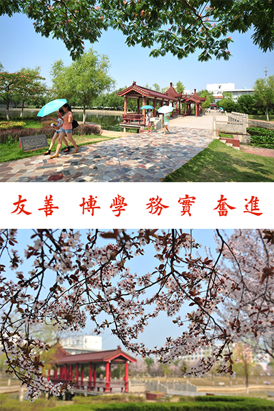 岁月流金 · 青春不散场