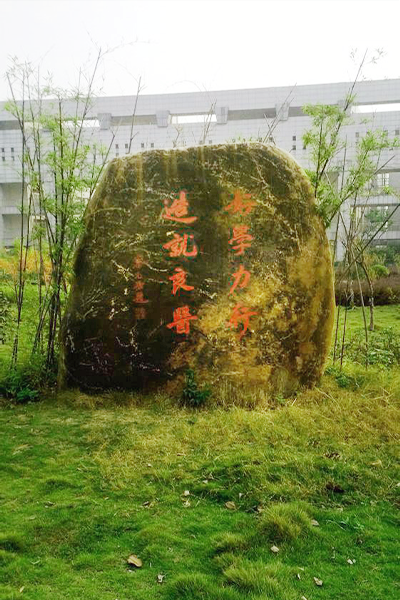 岁月流金 · 青春不散场