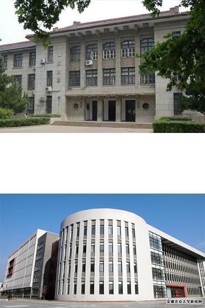 岁月流金 · 青春不散场