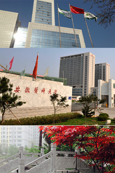 岁月流金 · 青春不散场