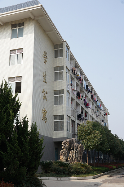 岁月流金 · 青春不散场