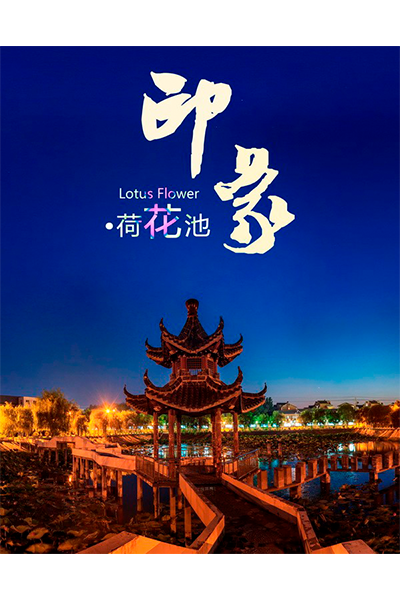 岁月流金 · 青春不散场