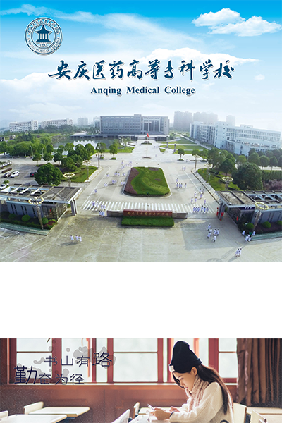 岁月流金 · 青春不散场