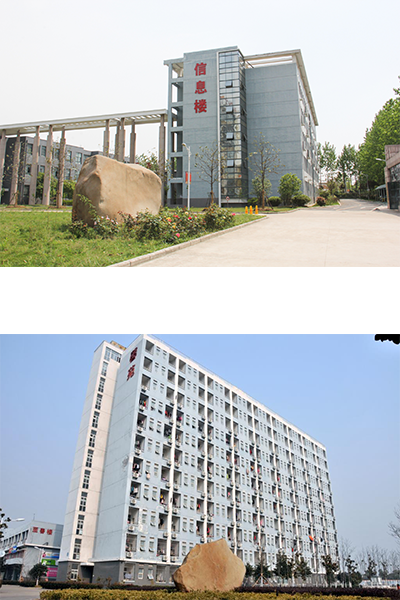 岁月流金 · 青春不散场