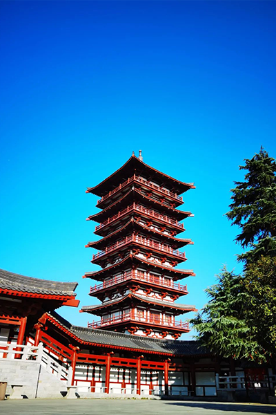 岁月流金 · 青春不散场