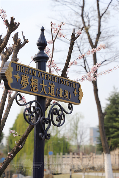岁月流金 · 青春不散场