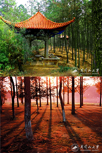 岁月流金 · 青春不散场