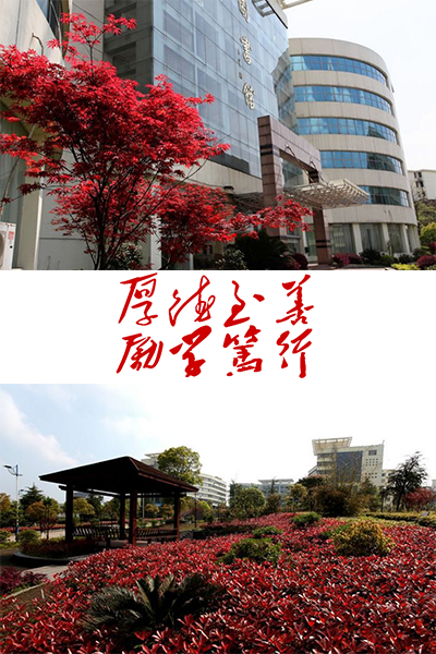 岁月流金 · 青春不散场