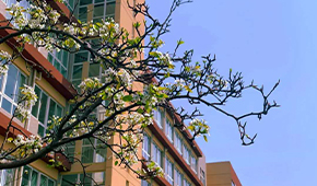 「 大學志 · 志中國 」