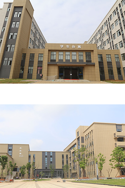 岁月流金 · 青春不散场