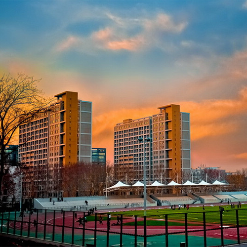 山东大学-最美校园