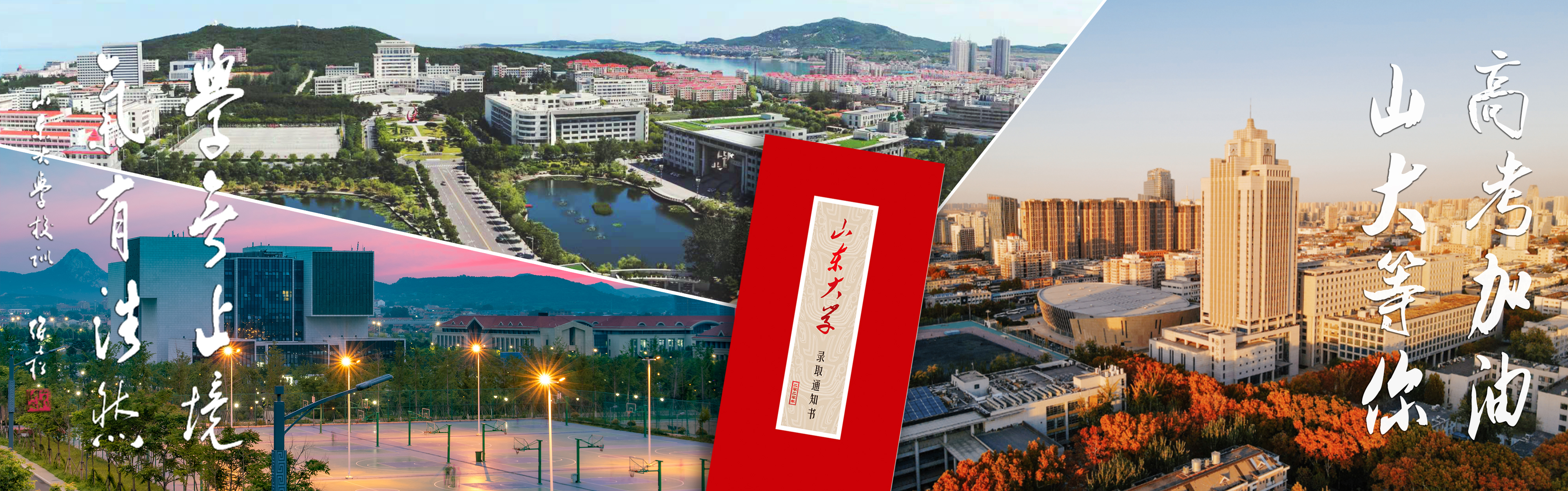 山东大学-校园风景