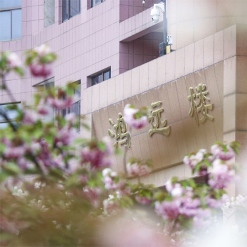新生入学