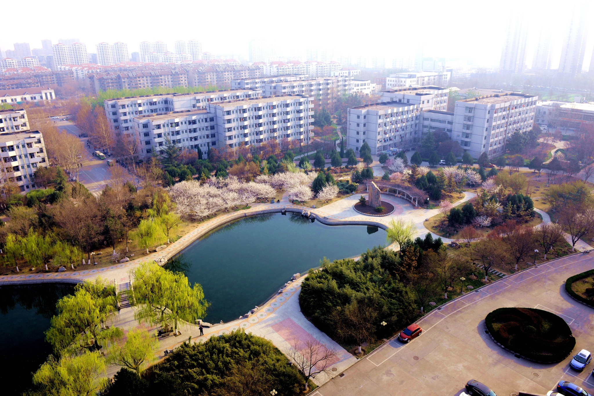 山东理工大学 我的大學