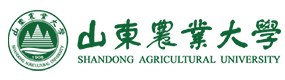 山东农业大学-中国最美大學