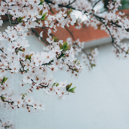 大學简介