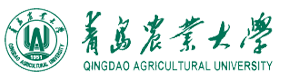 青岛农业大学-中国最美大學