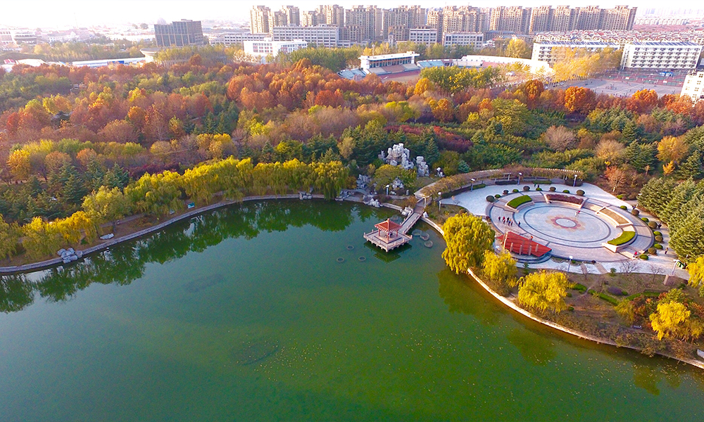 青岛农业大学 风起四海 · 各自珍重