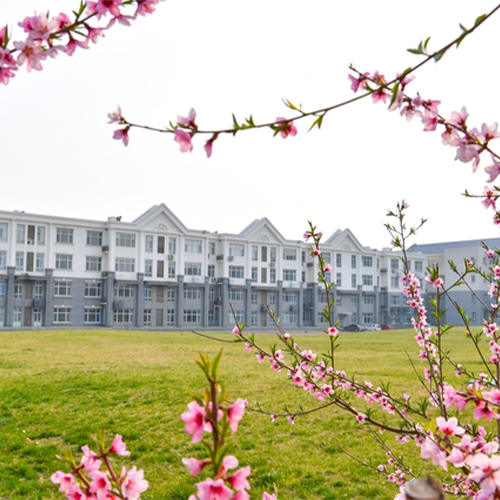 大學简介